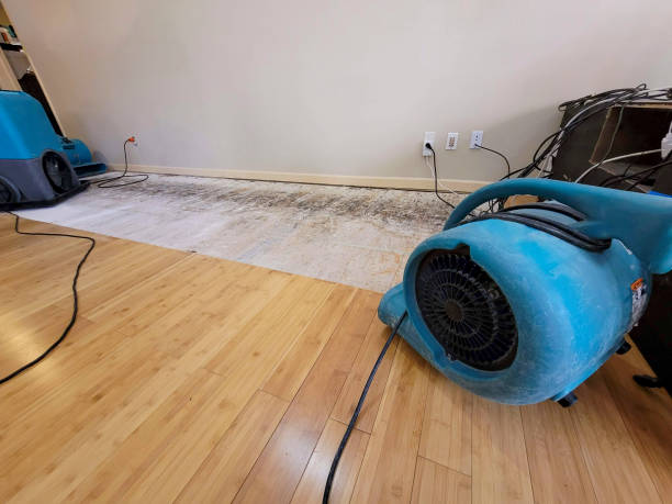 Professional Sewage Cleanup technician working in Falls City, NE